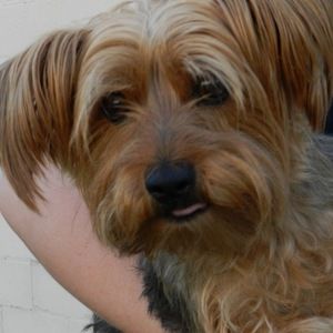 Meet your Posher, Patty